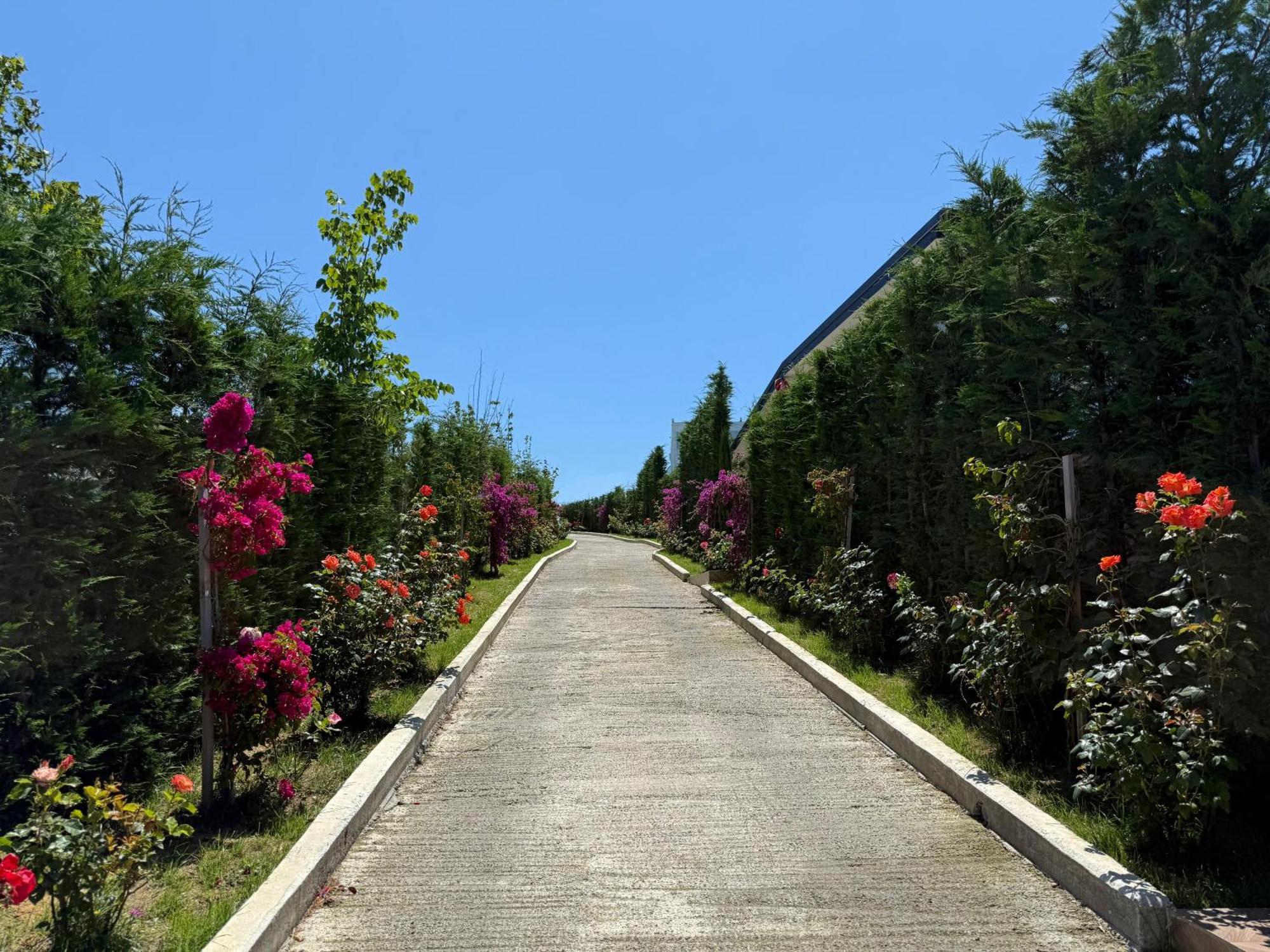 Top Villas ドゥラス エクステリア 写真